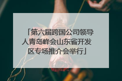 第六届跨国公司领导人青岛峰会山东省开发区专场推介会举行